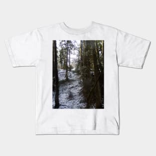 Forest Sun Rays in the Snow #53 Kids T-Shirt